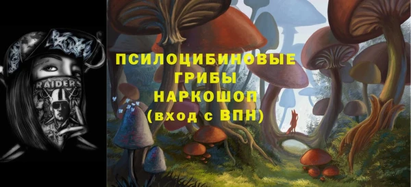 синтетический гашиш Краснослободск