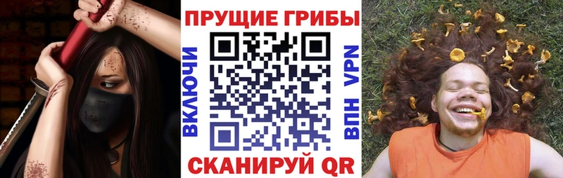 Купить  Кувандык  Галлюциногенные грибы прущие грибы 